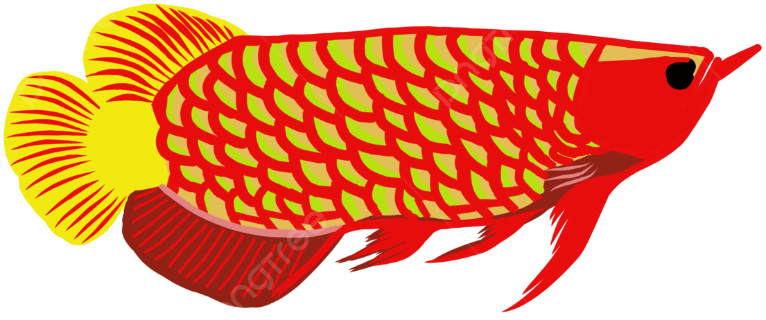 Cá Rồng Đà Nẵng